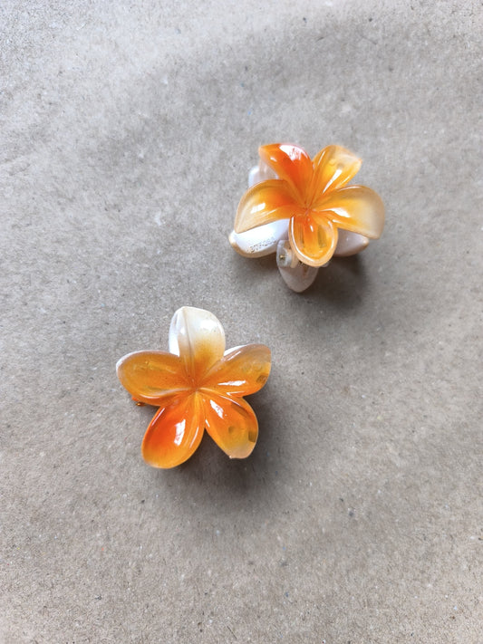 FloraPop Mini Claw Clips