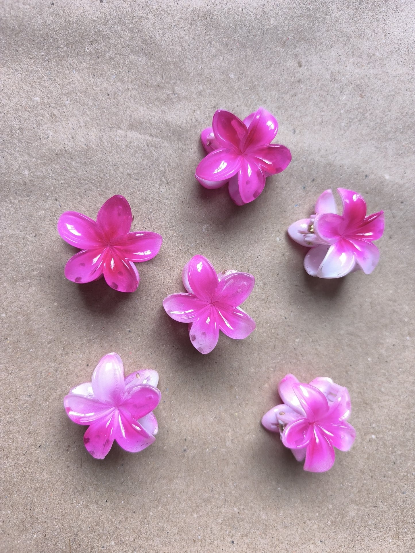FloraPop Mini Claw Clips