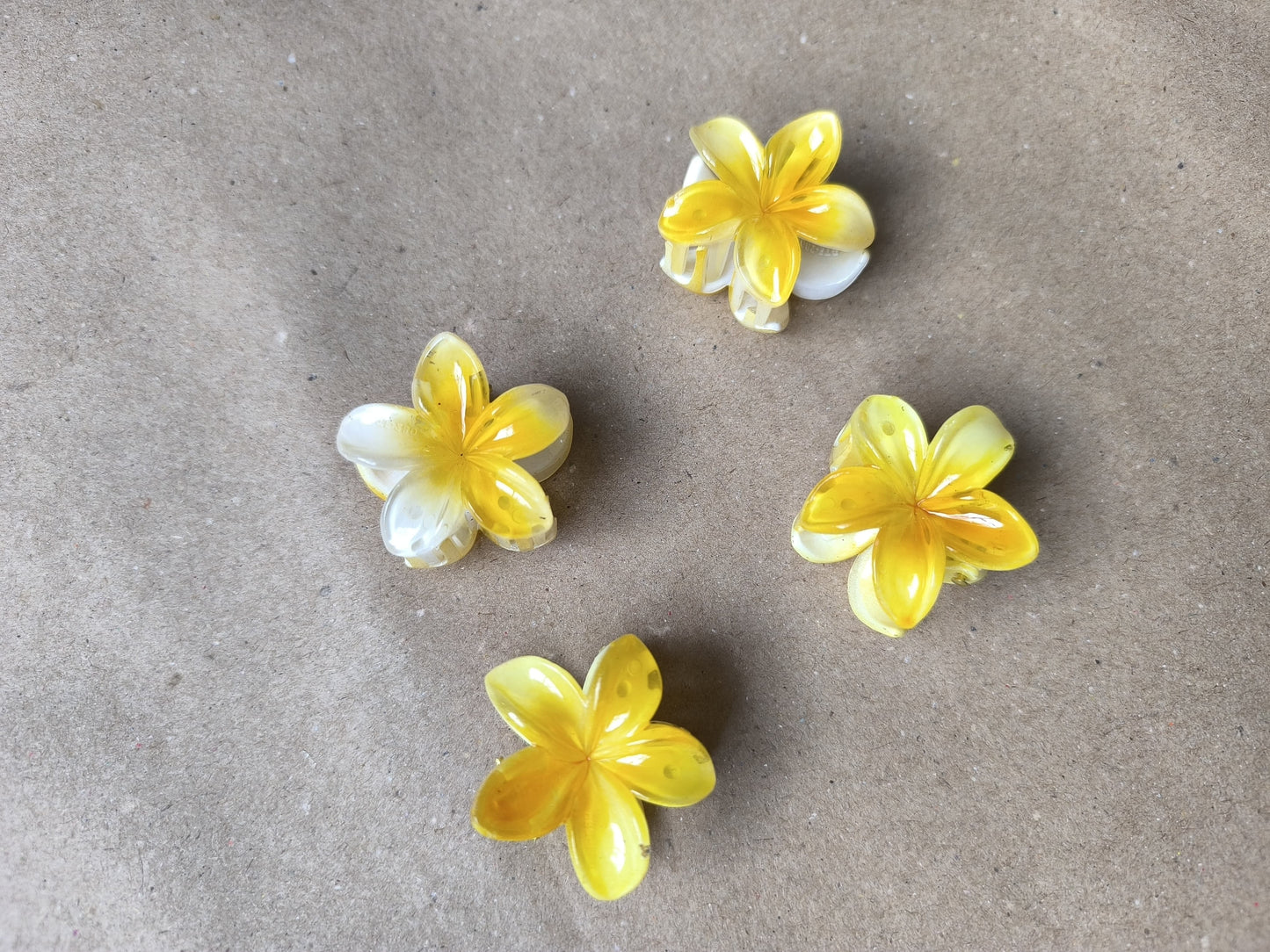 FloraPop Mini Claw Clips