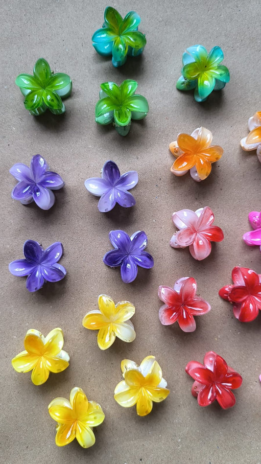 FloraPop Mini Claw Clips
