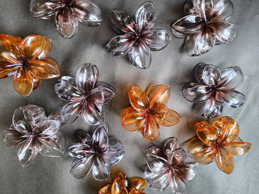 BloomPetal Transparent Flower Hair Claw Clip